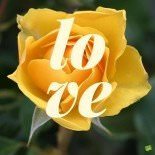 Romantic Valentine’s Day Wishes Romantic Valentine’s Day Wishes