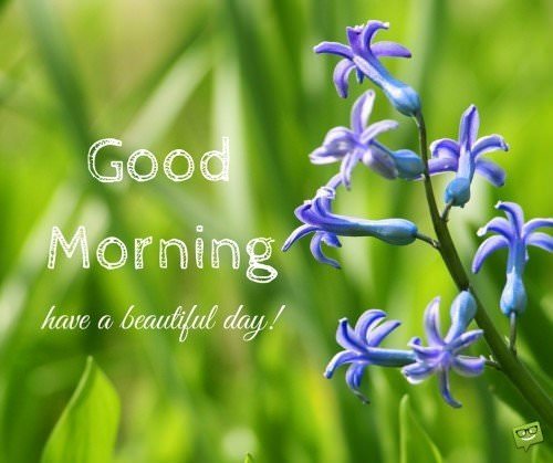 Good Morning. Have a beautiful day!