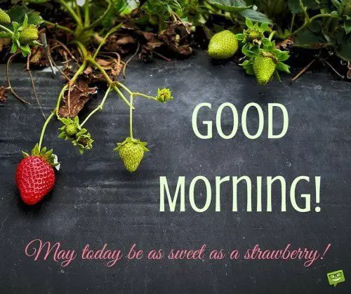 Good Morning. May today be as sweet as a strawberry!