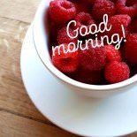 A Wish for the New Day : Good Morning! A Wish for the New Day : Good Morning!