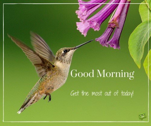 Good Morning. Get the most out of today!