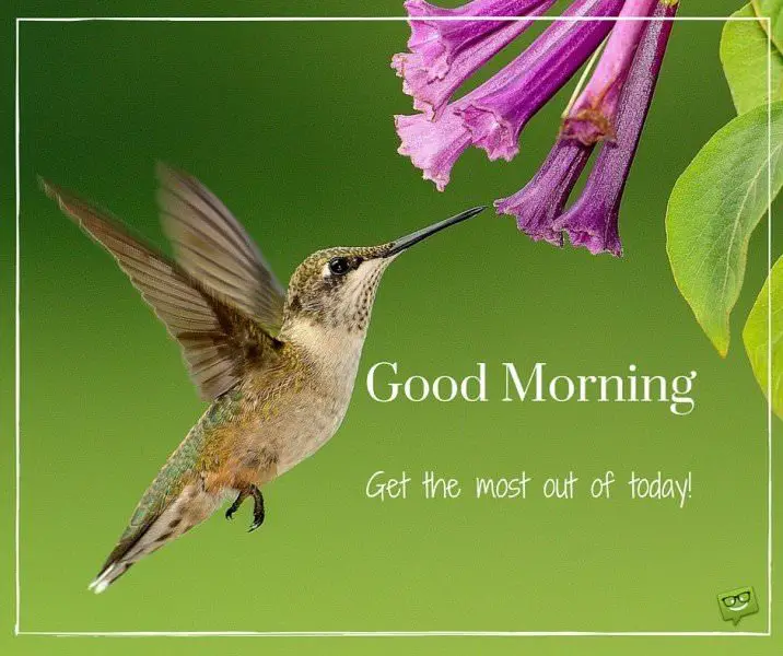 Good Morning. Get the most out of today! | Birthday Wishes Expert Good Morning. Get the most out of today!