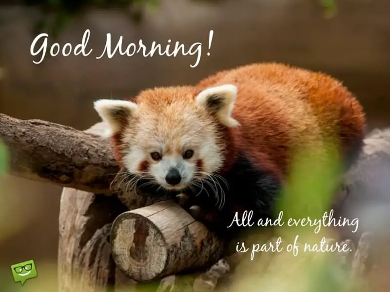 A Wish For The New Day Good Morning