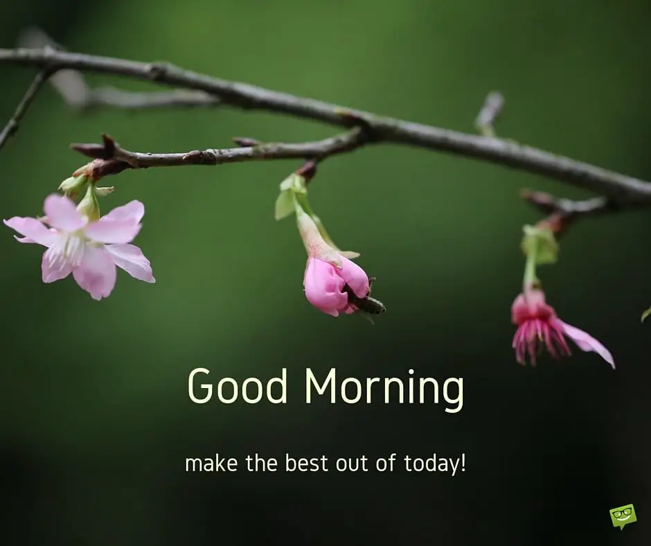 Good Morning, make the best out of today!