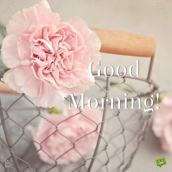 A Wish for the New Day Good Morning!