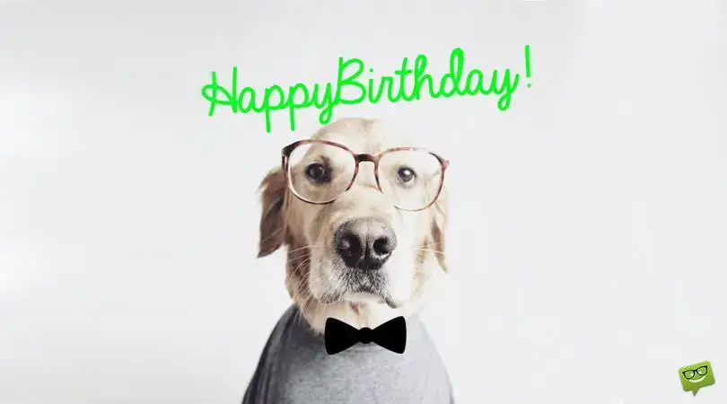 50 Funny Birthday Wishes To Make Your Boyfriend Laugh 50 Funny Birthday Wishes To Make Your Boyfriend Laugh