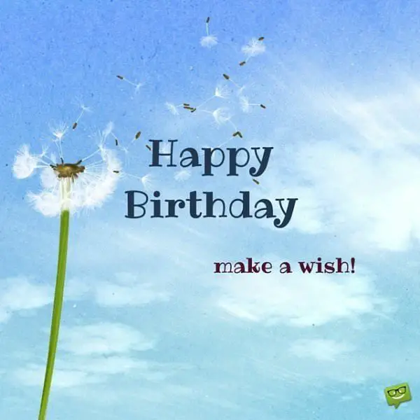My Image 5