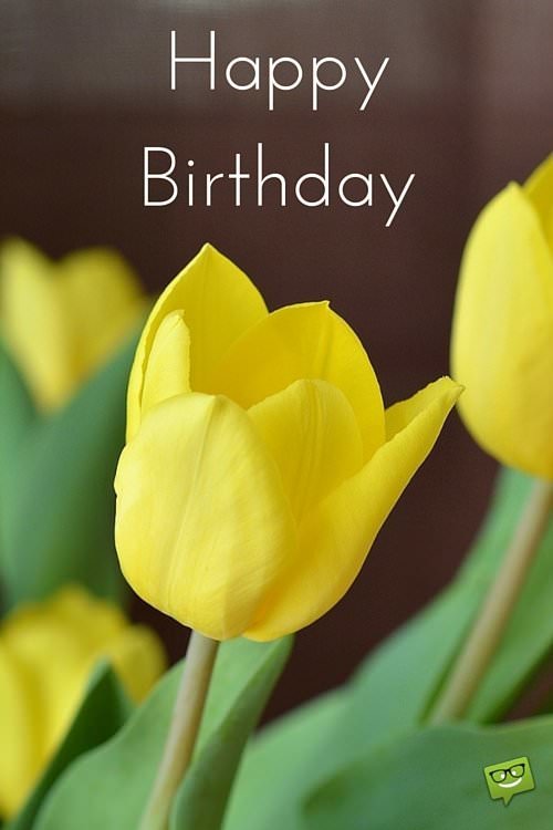 Happy Birthday Images that Make an Impression!