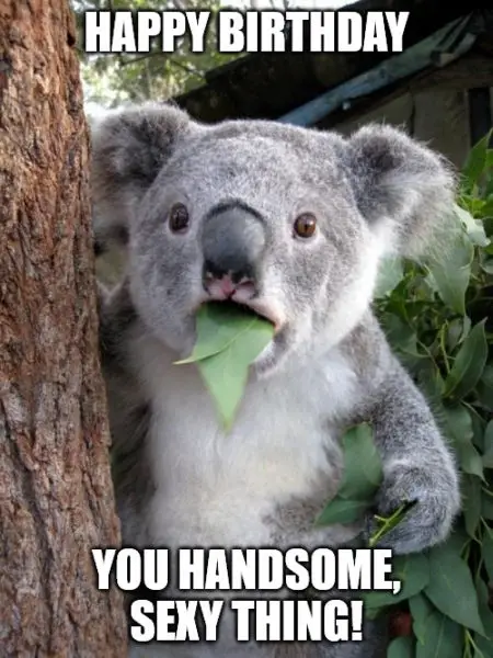Happy Birthday you handsome sexy thing - Surprised koala meme for love.
