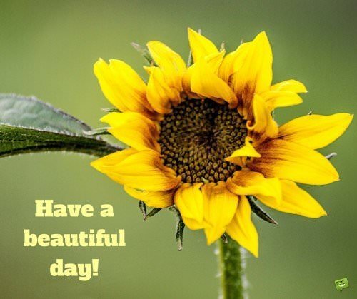 Have a beautiful day!