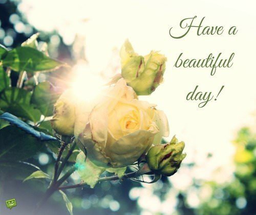 Have a beautiful day!