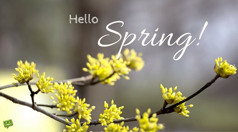 Hello, Spring. 