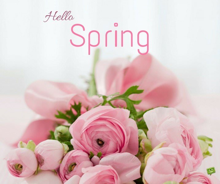 Hello, Spring!