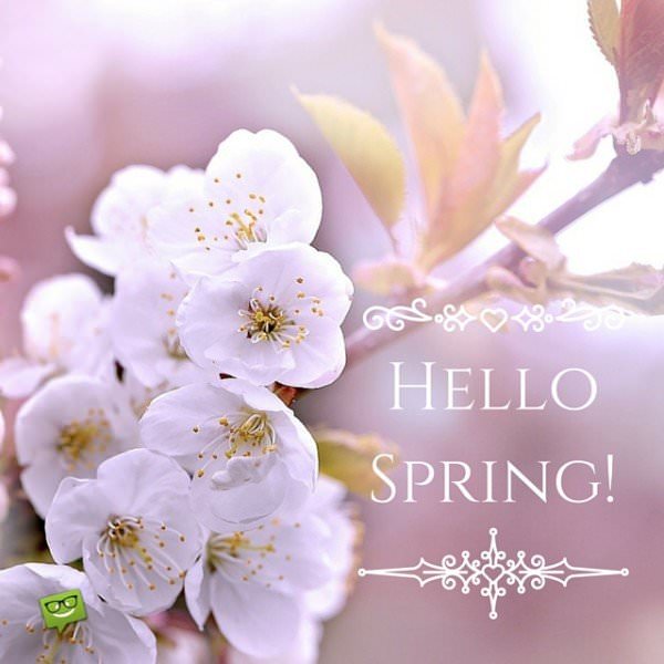 Hello, Spring!