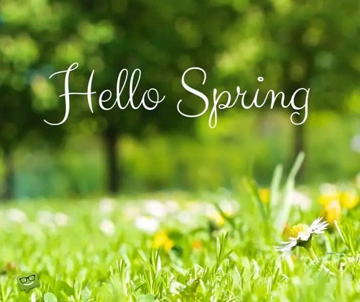 Hello, Spring!