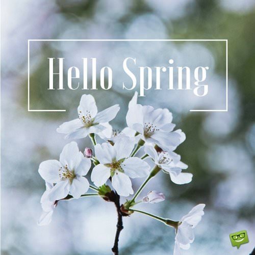 Hello Spring Quotes to Celebrate the Coming of Spring