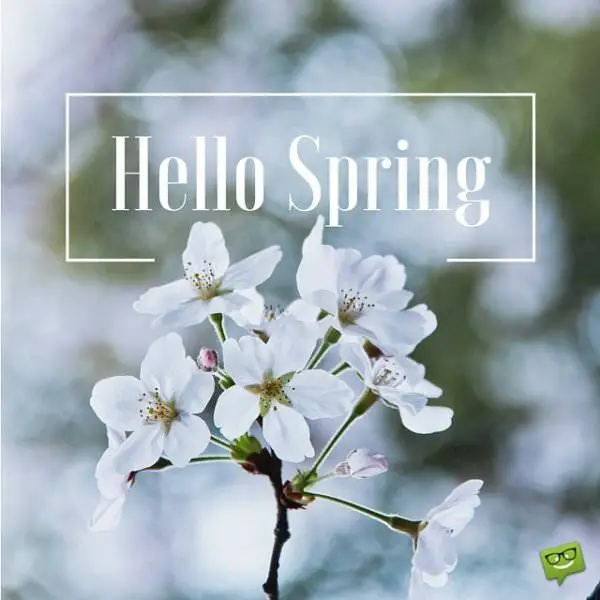 Hello, Spring.