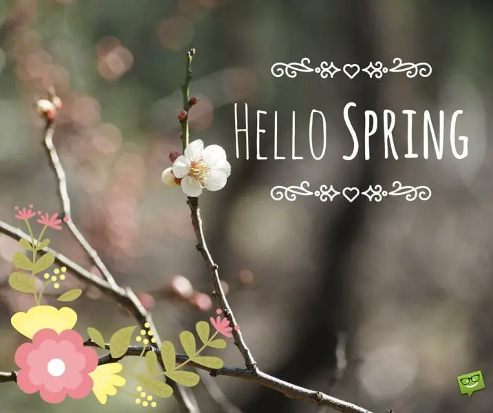 Hello, Spring!