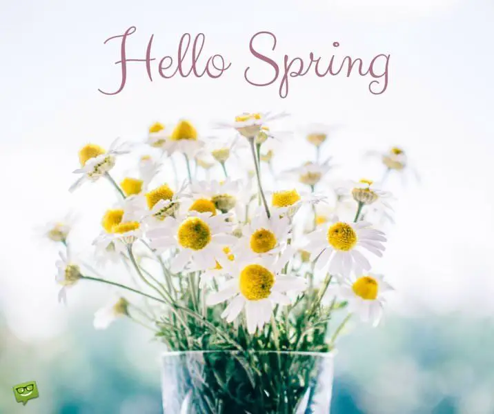 Hello, Spring!