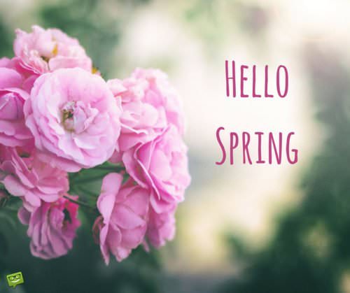 Hello Spring Quotes to Celebrate the Coming of Spring