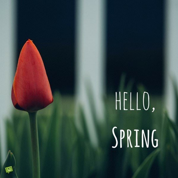 Hello, Spring.