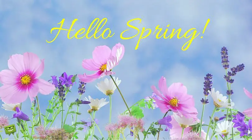 Hello, Spring. 