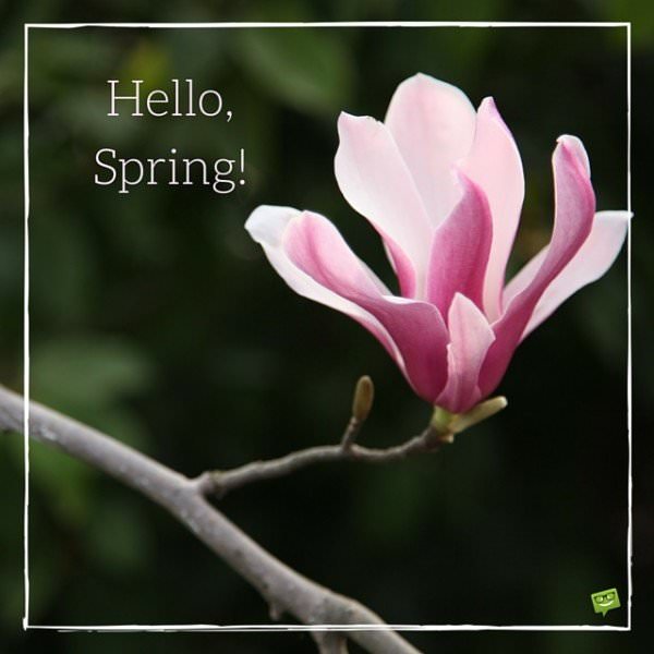 Hello, Spring!