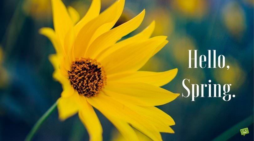 "Hello, Spring!" Quotes