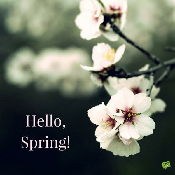 Hello, Spring!