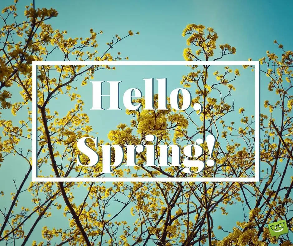 "Hello, Spring!" Quotes