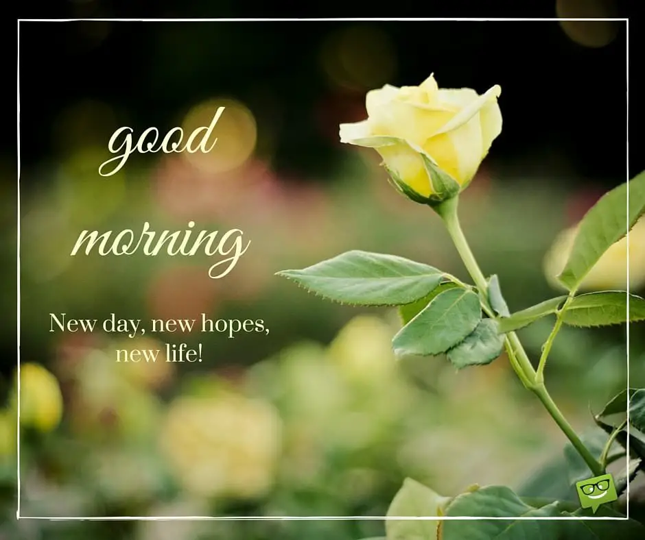 Good Morning. New day, new hopes, new life!