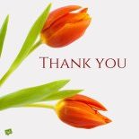Thank you Images to Help you Express your Gratitude Thank you Quote with flowers