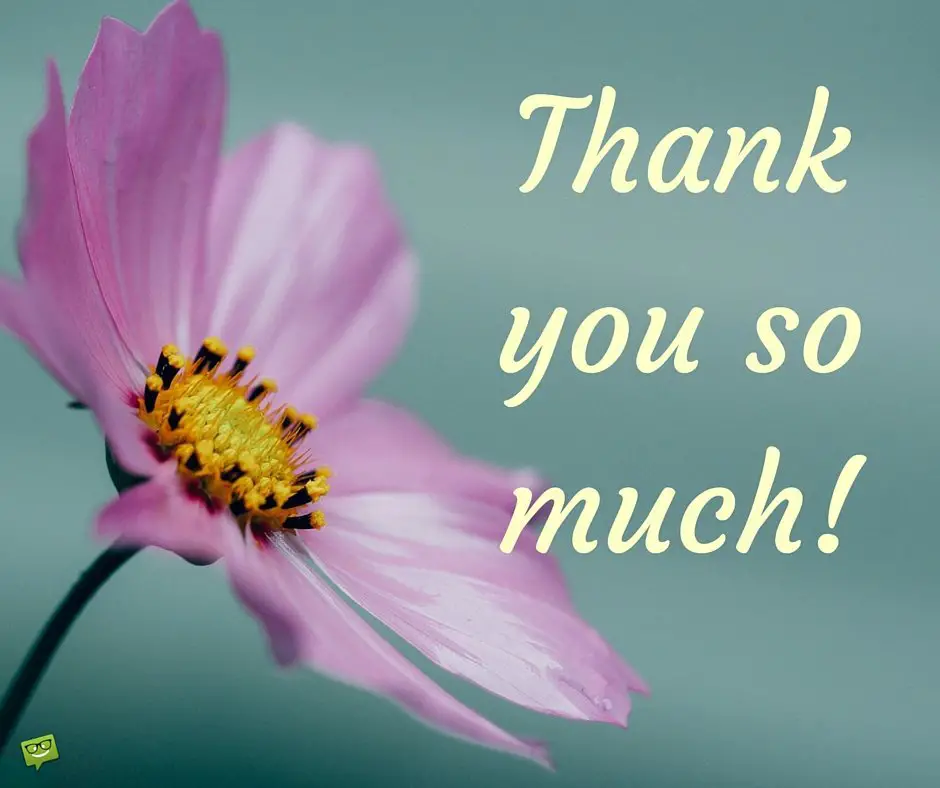 Thank you Images | Pictures to Help Express your Gratitude