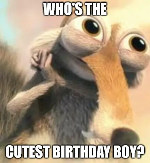 Who is the cutest birthday boy - Ice age squirrel in love meme.