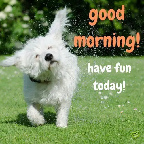 good morning image with cute dog.