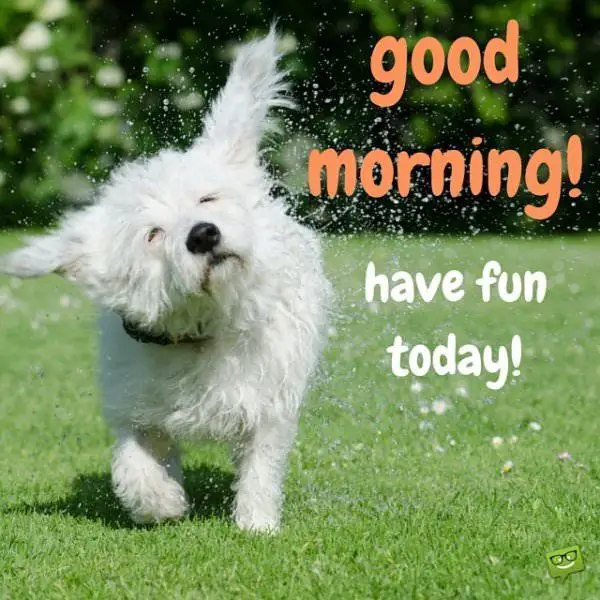 Good Morning! Have fun today!