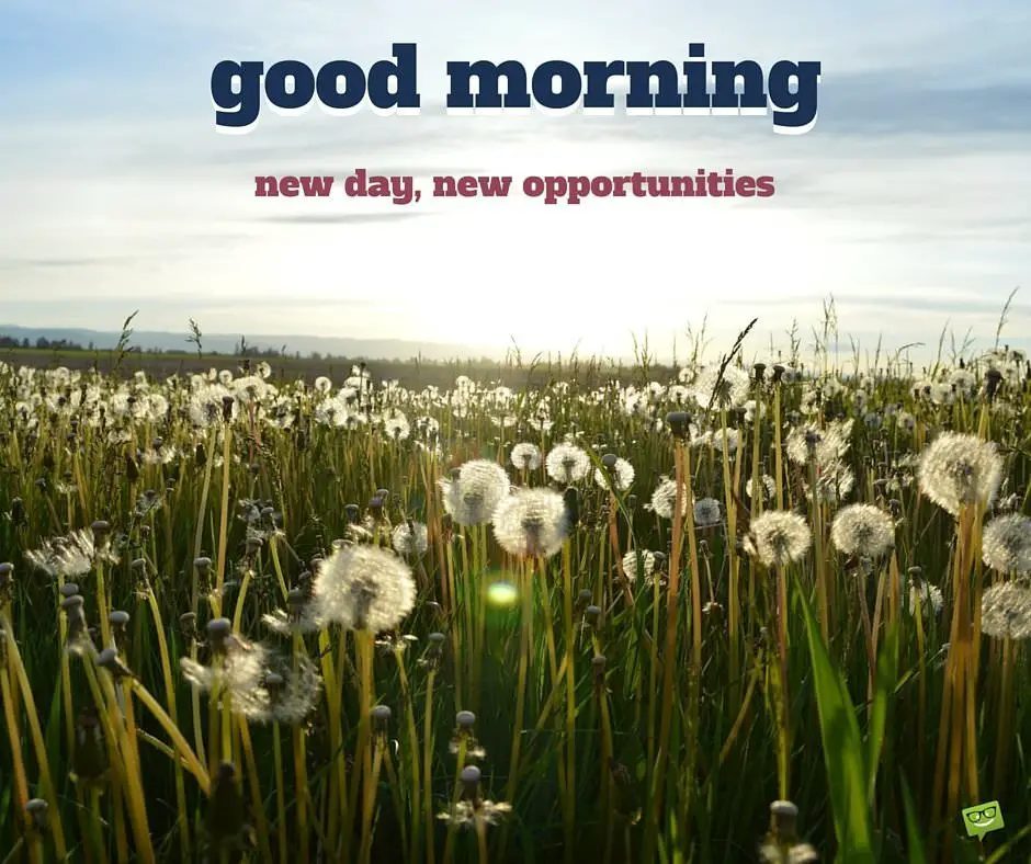Good Morning. New day, new opportunities!
