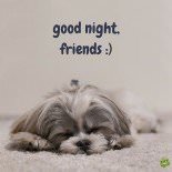 Beautiful Good Night Pictures