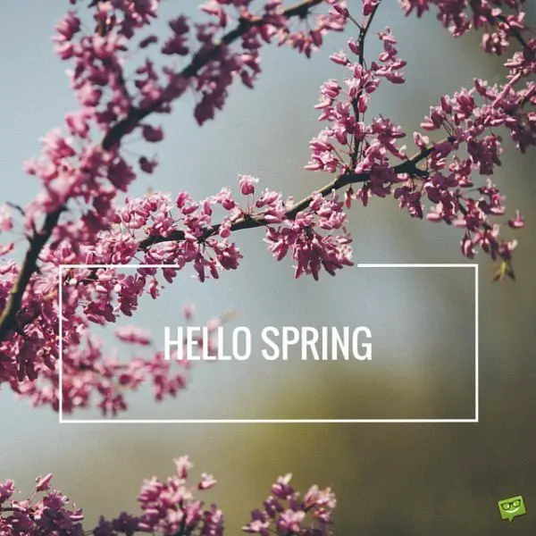 Hello, Spring!