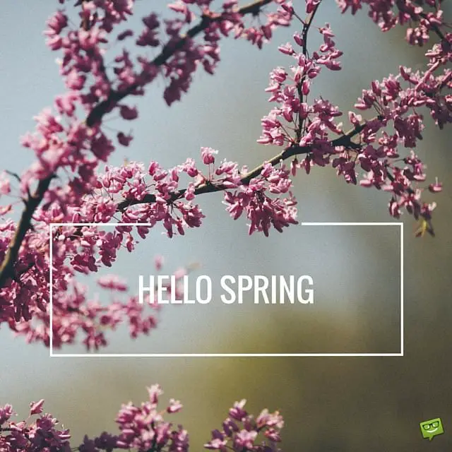 "Hello, Spring!" Quotes