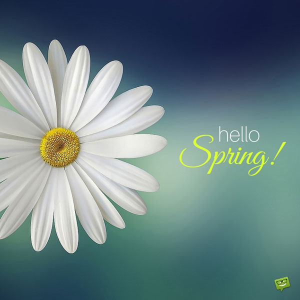 Hello Spring!