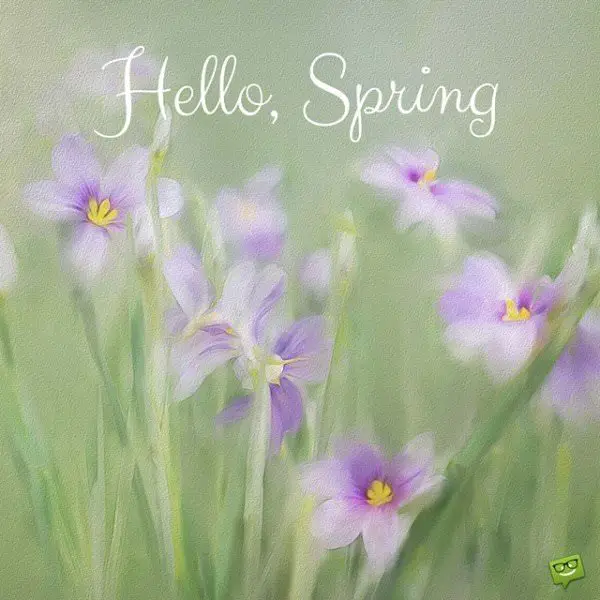 Hello, Spring.