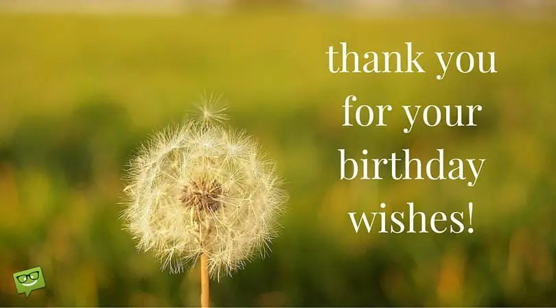 Thank you for your birthday wishes!