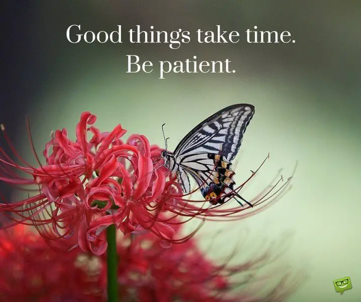 Good things take time.Be patient. Life Quote.