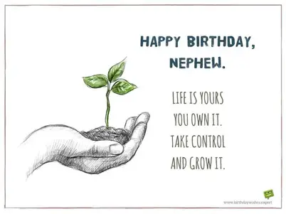 Inspirational Birthday Wishes For Nephew Happy Birthday, Nephew! | 50 Exclusive Wishes For Him