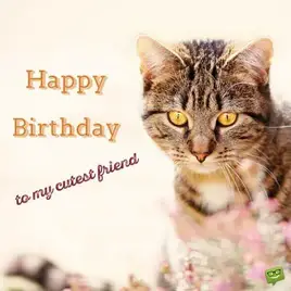 Happy Birthday, to my cutest friend.