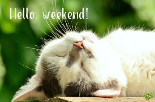Hello, weekend!
