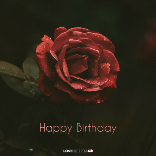 300 Happy Birthday Images For Free Download Instant Sharing