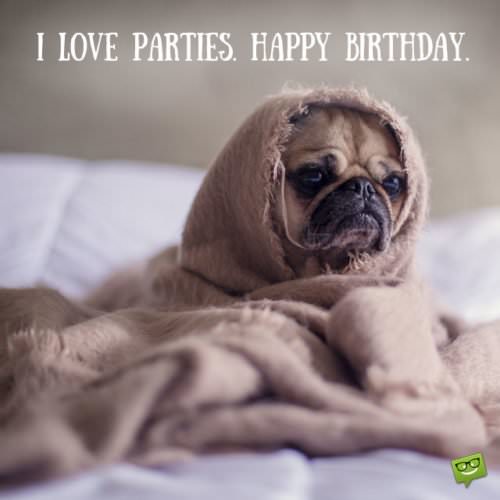 Funny birthday wish on image of dog lloking miserable. | Birthday Wishes Expert I love parties. Happy Birthday.