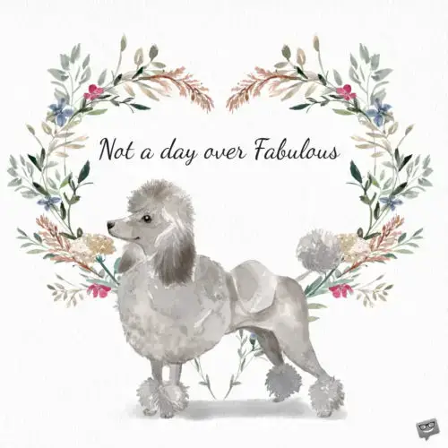 Not a day over fabulous.
